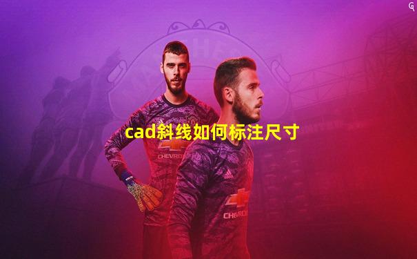 cad斜线如何标注尺寸