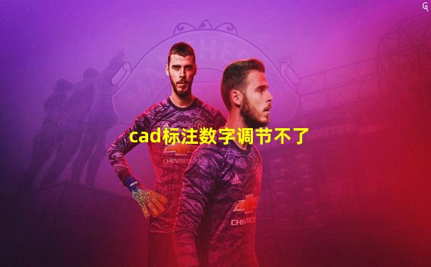 cad标注数字调节不了