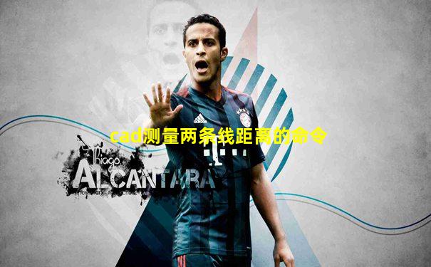 cad测量两条线距离的命令