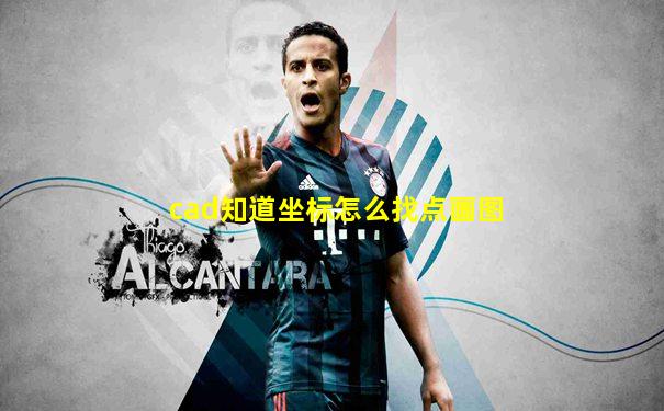 cad知道坐标怎么找点画图