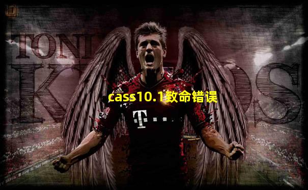 cass10.1致命错误