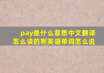 pay是什么意思中文翻译怎么读的啊英语单词怎么说