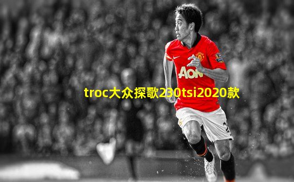 troc大众探歌230tsi2020款
