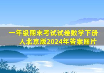 一年级期末考试试卷数学下册人北京版2024年答案图片