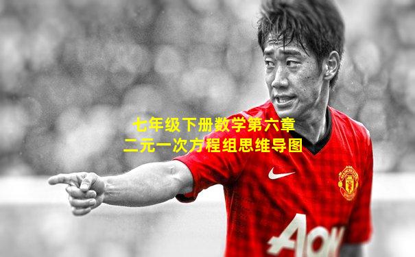 七年级下册数学第六章二元一次方程组思维导图