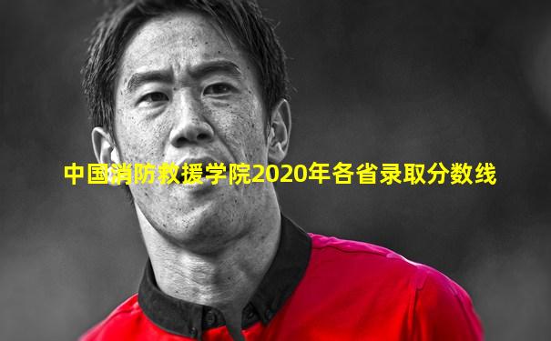 中国消防救援学院2020年各省录取分数线