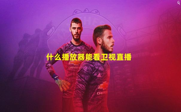 什么播放器能看卫视直播
