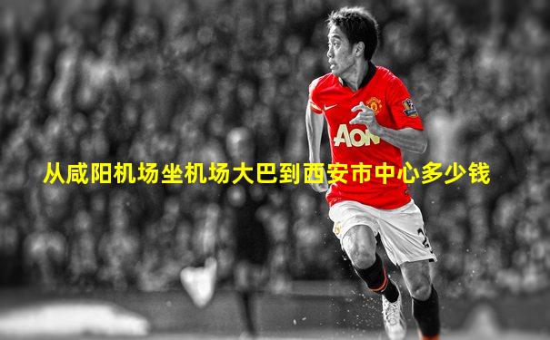 从咸阳机场坐机场大巴到西安市中心多少钱