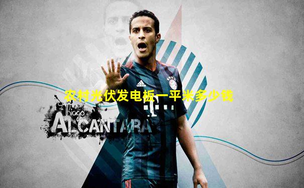 农村光伏发电板一平米多少钱