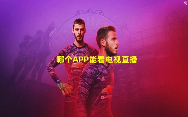 哪个APP能看电视直播