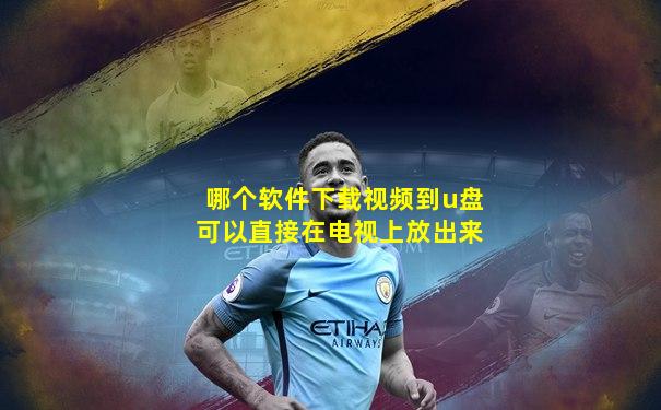 哪个软件下载视频到u盘可以直接在电视上放出来