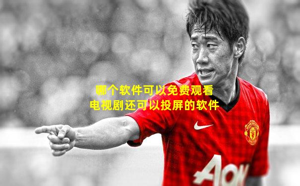 哪个软件可以免费观看电视剧还可以投屏的软件