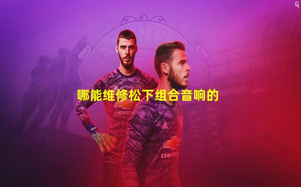 哪能维修松下组合音响的