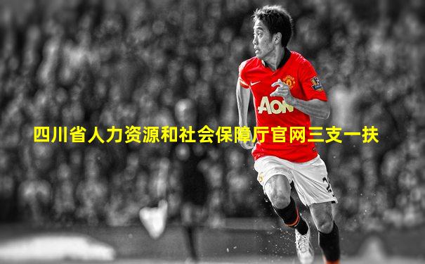 四川省人力资源和社会保障厅官网三支一扶