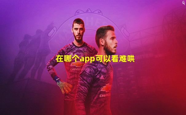 在哪个app可以看难哄