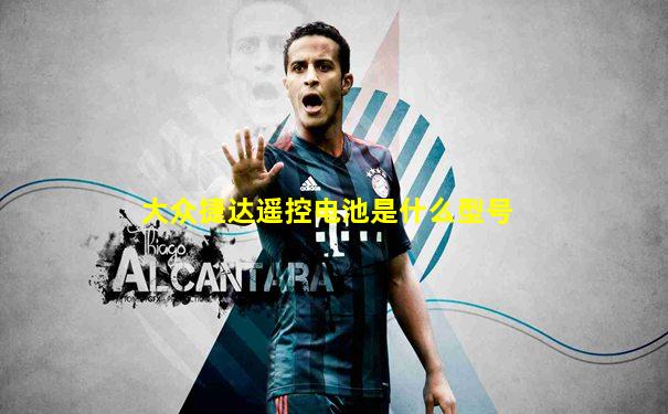 大众捷达遥控电池是什么型号