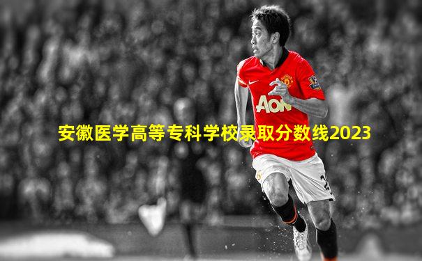 安徽医学高等专科学校录取分数线2023
