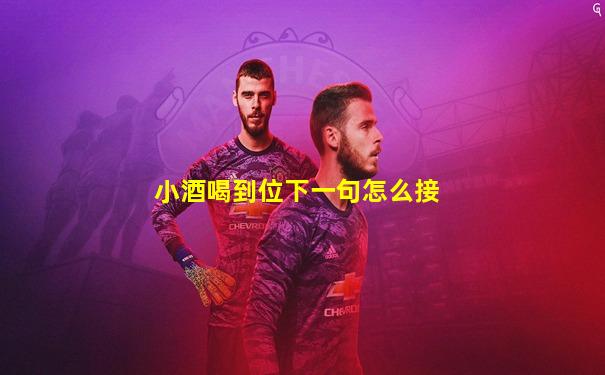 小酒喝到位下一句怎么接