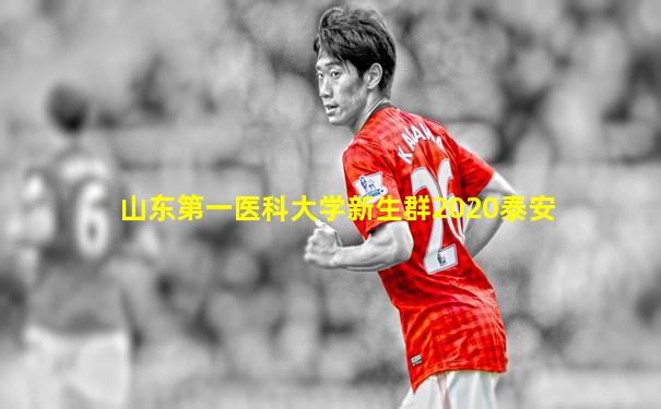山东第一医科大学新生群2020泰安