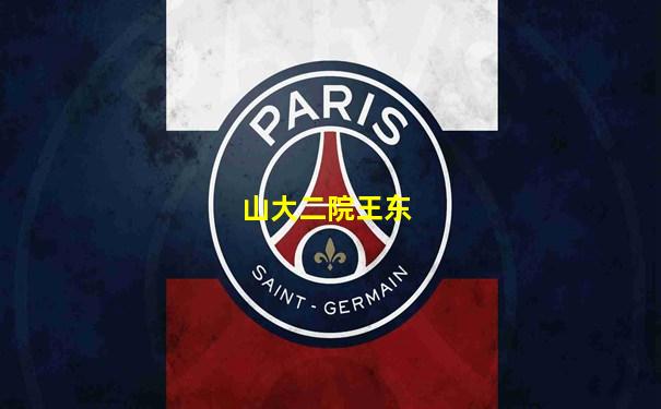 山大二院王东
