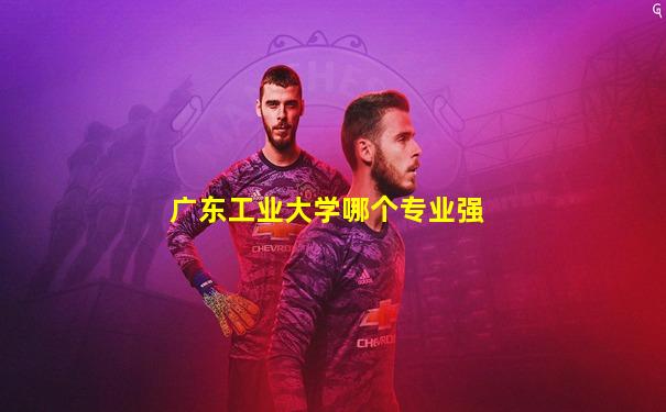 广东工业大学哪个专业强