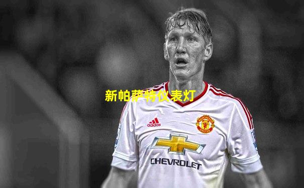 新帕萨特仪表灯
