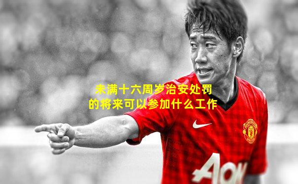 未满十六周岁治安处罚的将来可以参加什么工作