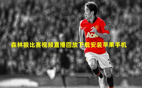 森林狼比赛视频直播回放下载安装苹果手机