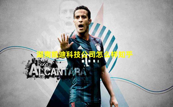 湖南凯迪科技公司怎么样知乎