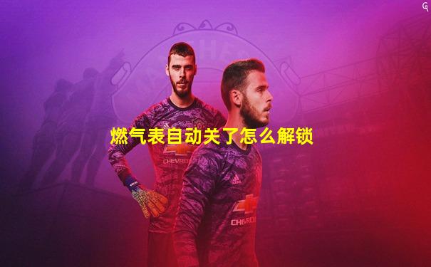 燃气表自动关了怎么解锁
