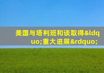 美国与塔利班和谈取得“重大进展”
