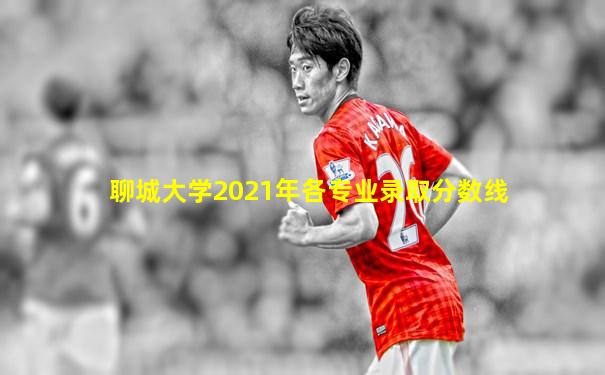 聊城大学2021年各专业录取分数线