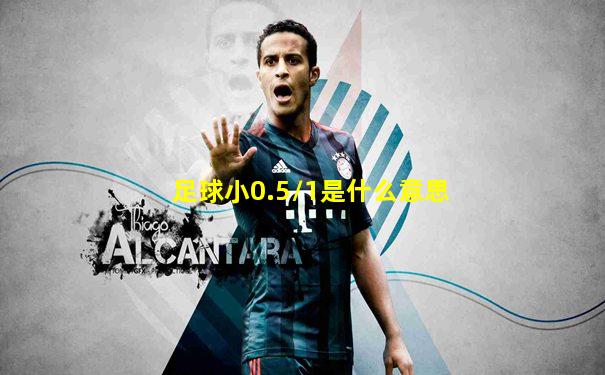足球小0.5/1是什么意思