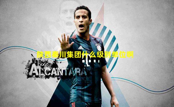 陕西秦川集团什么级别单位啊