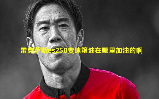 雷克萨斯es250变速箱油在哪里加油的啊
